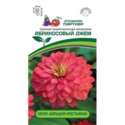 3373P Цинния АБРИКОСОВЫЙ ДЖЕМ / мариландская махровая 5 шт