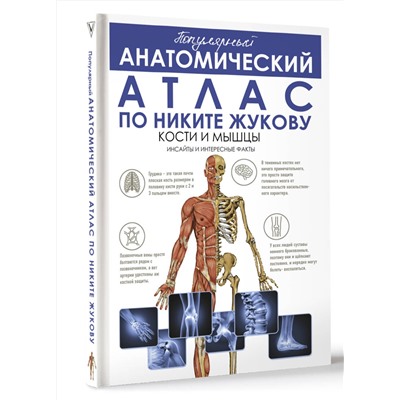 АСТ Жуков Никита Эдуардович "Популярный анатомический атлас по Никите Жукову: кости и мышцы. Инсайты и интересные факты"