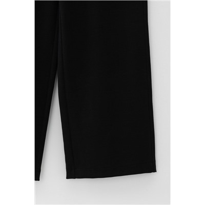 VERY NEAT Брюки ЕВТ 4142