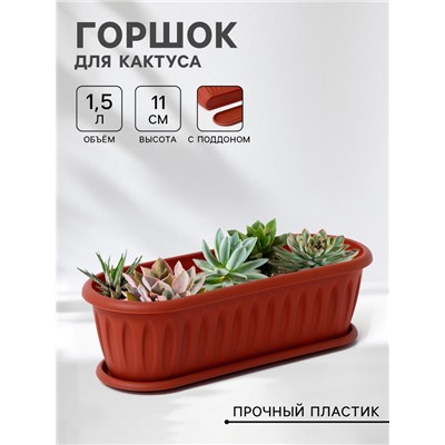 Горшок для кактуса с поддоном «Фелиция», 1.5 л, терракотовый