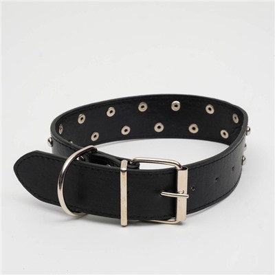 Ошейник клепаный в 2 ряда, 63.5×3.8 см, черный