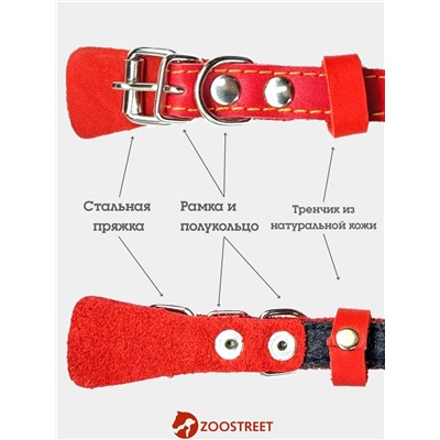 Ошейник, 35×1.5 см, подклад из ватина, кожа, красный