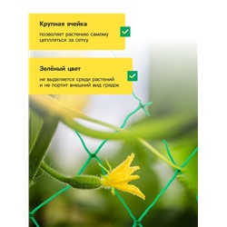Сетка садовая для огурцов, шпалерная, 10×2 м, ячейка 15×15 см, Greengo