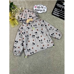 ветровка 2058300-3