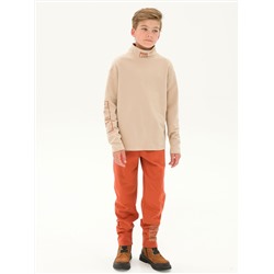 PELICAN Брюки BFPQ5296U