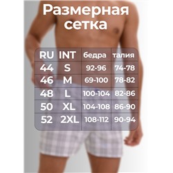 Мужские трусы семейные Berrak