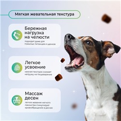 Favet Функциональное лакомство MultivitaminDog Soft Chews для кожи и шерсти для собак, 120 г