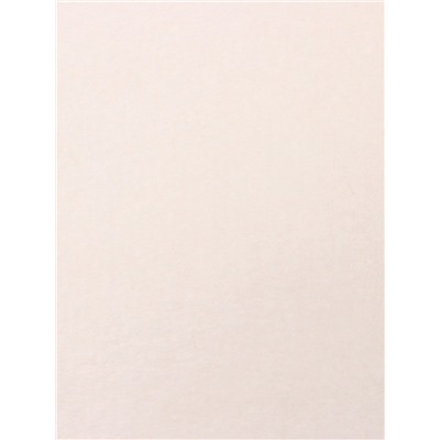 Плед «Этель», 180×200 см, корал-флис 220 г/м², молочный