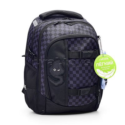 Рюкзак "Ergo. Super Spy" школьный 39x28x20 см (18 л) 600 г, 2 отделения на молнии, одно с уплотненным отделением для ноутбука до 15 дюймов и книг и карманом для учебников, второе с органайзером и карабином для ключей, передний карман на молнии с сетчатым