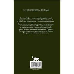 АСТ Рейчел Уэллс "Алфи на каникулах"