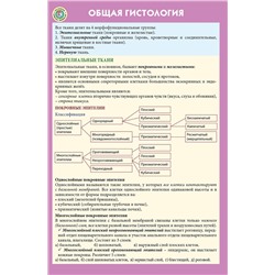 Эксмо "Общая гистология"