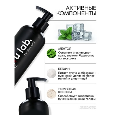 Гель для душа и шампунь мужской 2 в 1, 300 мл, с ментолом, 300 мл, ULAB