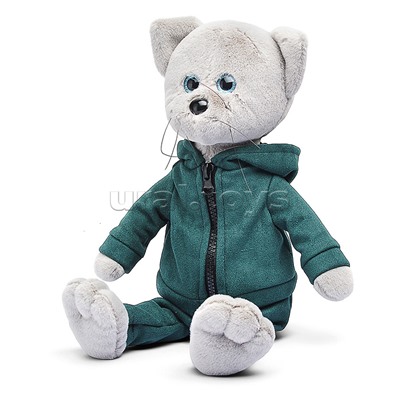 Кот Фаня в спортивном костюме В27