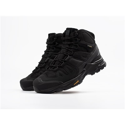 Зимние Ботинки Salomon Quest 4 GTX
