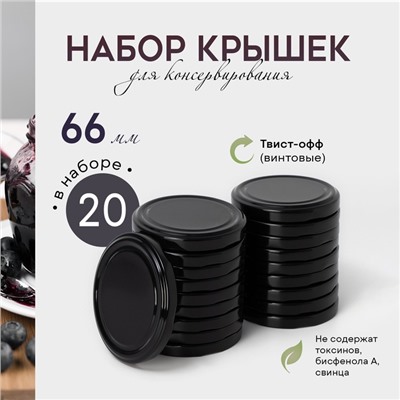 Набор крышек для консервирования Доляна «Ночь», ТО-66 мм, металл, 20 шт.