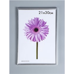 УЦЕНКА Фоторамка пластик Lida 21х30 см серебро