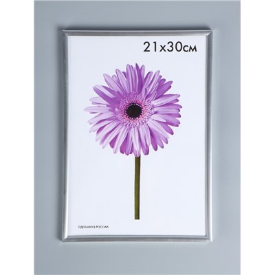 УЦЕНКА Фоторамка пластик Lida 21х30 см серебро