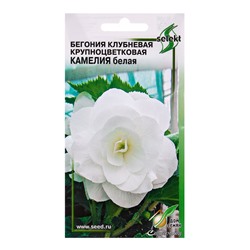 Семена цветов Бегония крупноцв.Камелия белая 10 шт