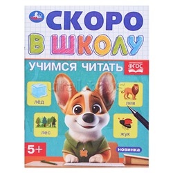 Букварь. М.А.Жукова. Учимся читать. Набор дошкольника. Обучающий набор в коробке