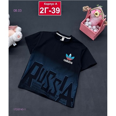 футболка 1720740-1