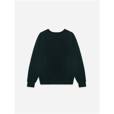 КОМПЛЕКТ ЖЕНСКИЙ (СВИТШОТ, БРЮКИ) 192562