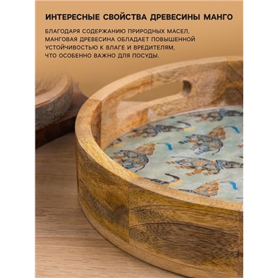 Поднос круглый с бортиками «Мудрый слон», 35×35×6.5 см, дерево манго