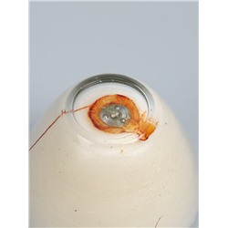 УЦЕНКА Свеча ароматическая в стакане «SCENTED CANDLE» 100 г, шелковица+ваниль