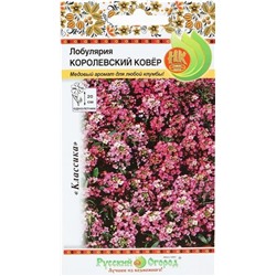 Лобулярия Королевский ковер (НК)