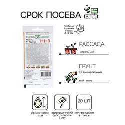 Семена Огурец "Хрустик", F1, корнишон, серия 1+1, 20 шт