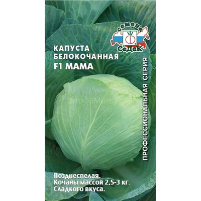 Капуста бк Мама F1 (Седек)