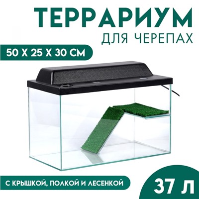 Террариум для черепах 37 литров, с крышкой, полкой и лесенкой, 50×25×30 см