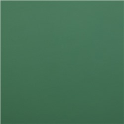 Пленка матовая для цветов, двухсторонняя,«Зефир»,57 см × 5 м