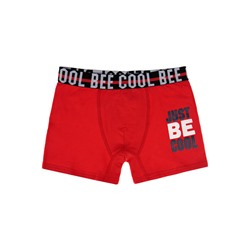 Трусы трикотажные для мальчиков - боксеры, 3 шт. в комплекте