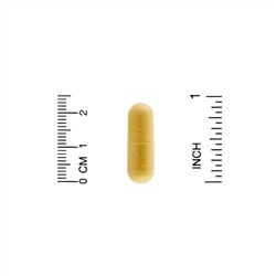California Gold Nutrition, Маточное молочко, сублимированный концентрат, 500 мг, 30 растительных капсул
