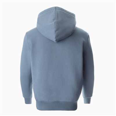 Толстовка мужская НАЧЁС, цвет турмалин, размер 50