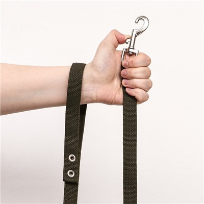 Брезентовый поводок, 5 м × 2 см, тёмно-зелёный