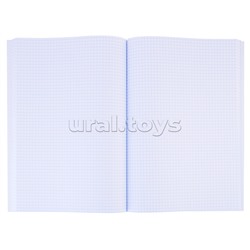 Книга учёта  80л. "Символика России-4" клетка, переплёт 7БЦ, глянц.лам