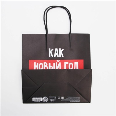 Пакет подарочный новогодний «Так тебе и надо», 22×22×11 см