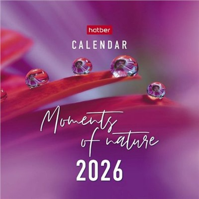 Календарь-домик настольный на спирали 2026 г. 101х101 мм КВАДРАТ "Moments of nature" (090525) 33374 Хатбер