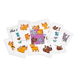 Компакт. Котокомбо