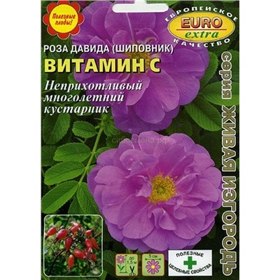 Роза Витамин С Давида (Аэлита)