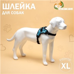 Шлейка К7 мягкая светоотражающая, размер XL, ОГ 74-92 см, вес 28-47.5 кг, голубая хаки