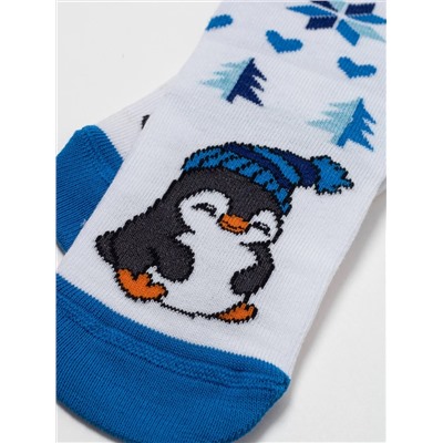 CONTE-KIDS Носки 21С-67СП