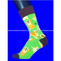 Nice Socks (AMIGOBS) ЦВЕТНЫЕ ВЫСОКИЕ НОСКИ на вешалке арт. 2208