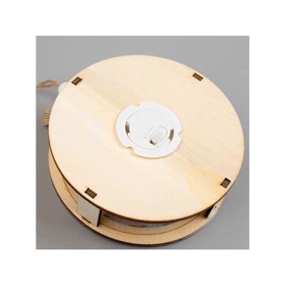 Ёлочная игрушка «Шар с веткой», 10×10×2 см, от батареек, свечение тёплое белое