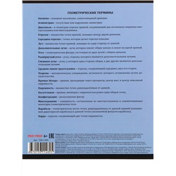 Тетрадь КЛЕТКА 48л. ГЕОМЕТРИЯ «МАНГА» (Т48-1489) стандарт, твин-лак