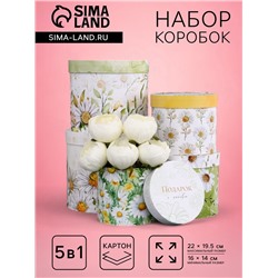 Набор шляпных коробок для цветов 5 в 1, упаковка подарочная, «Ромашки», 16×14 см - 22×19.5 см