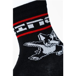 Носки трикотажные для мальчиков, 3 пары в комплекте PLAYTODAY, 1239789