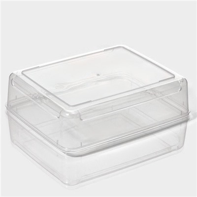 Контейнер для хранения яиц Доляна, 20 ячеек, 27.5×22×7 см, МИКС