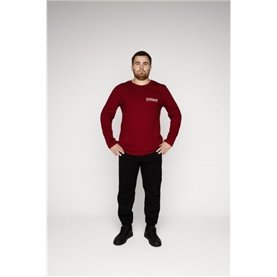 Mad-4209 (Джемпер мужской, MaDo )